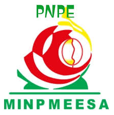 PNPE